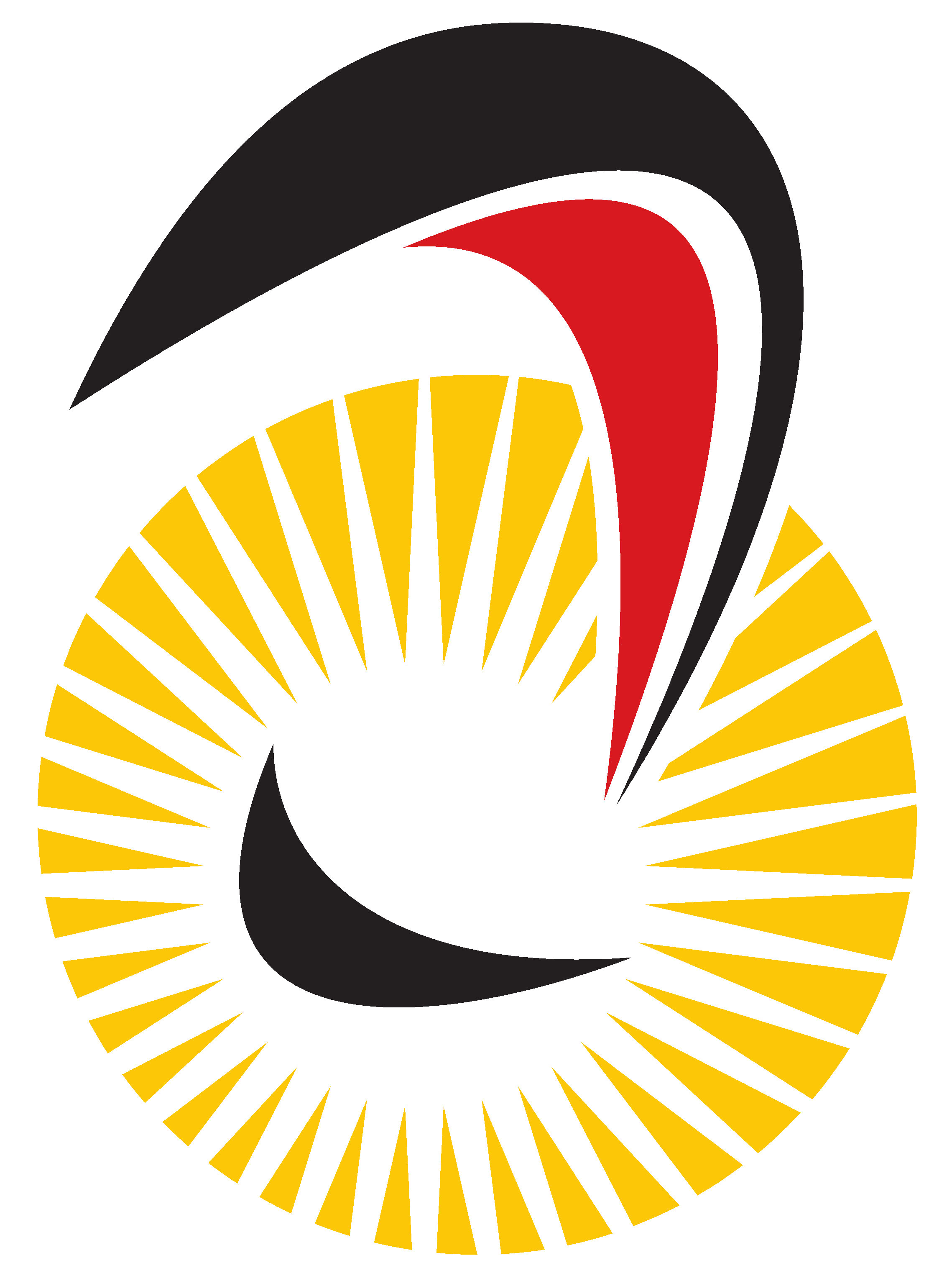 Logo der Deutschen Gleitschirmliga